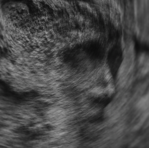 Parlor : Tears For Everything